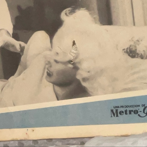 1959 The Beat Generation FLAWS Card Movie Poster Spanish version - Picture 4 of 16